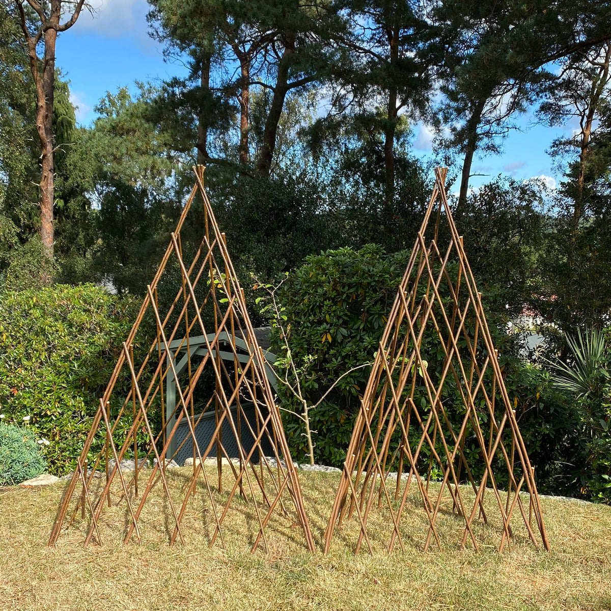 Expanding Willow Obelisks Garden Plant Support (1.2m high) - Pack of 2