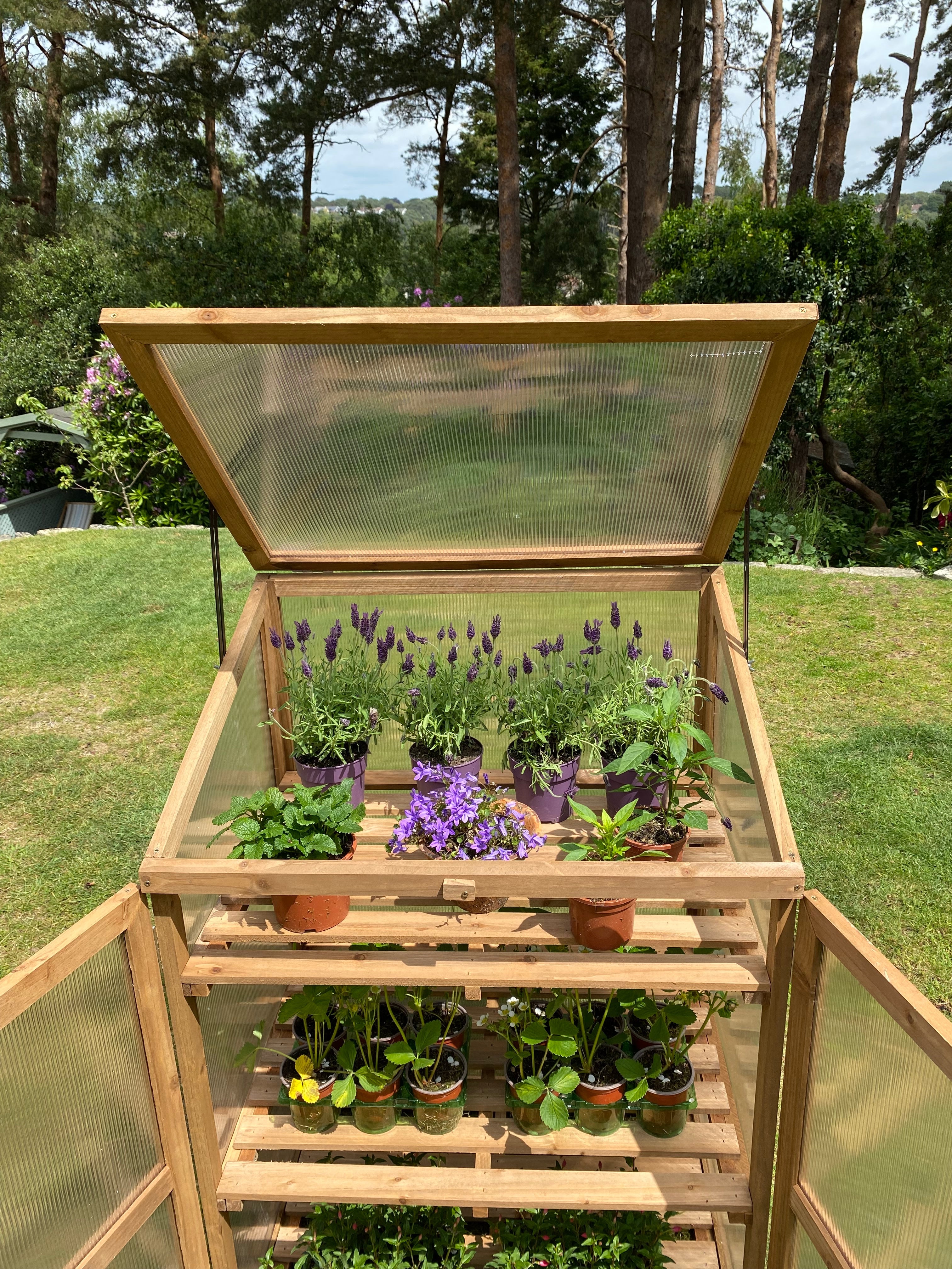 Replacement Lid Panel for Wooden Mini Growhouse