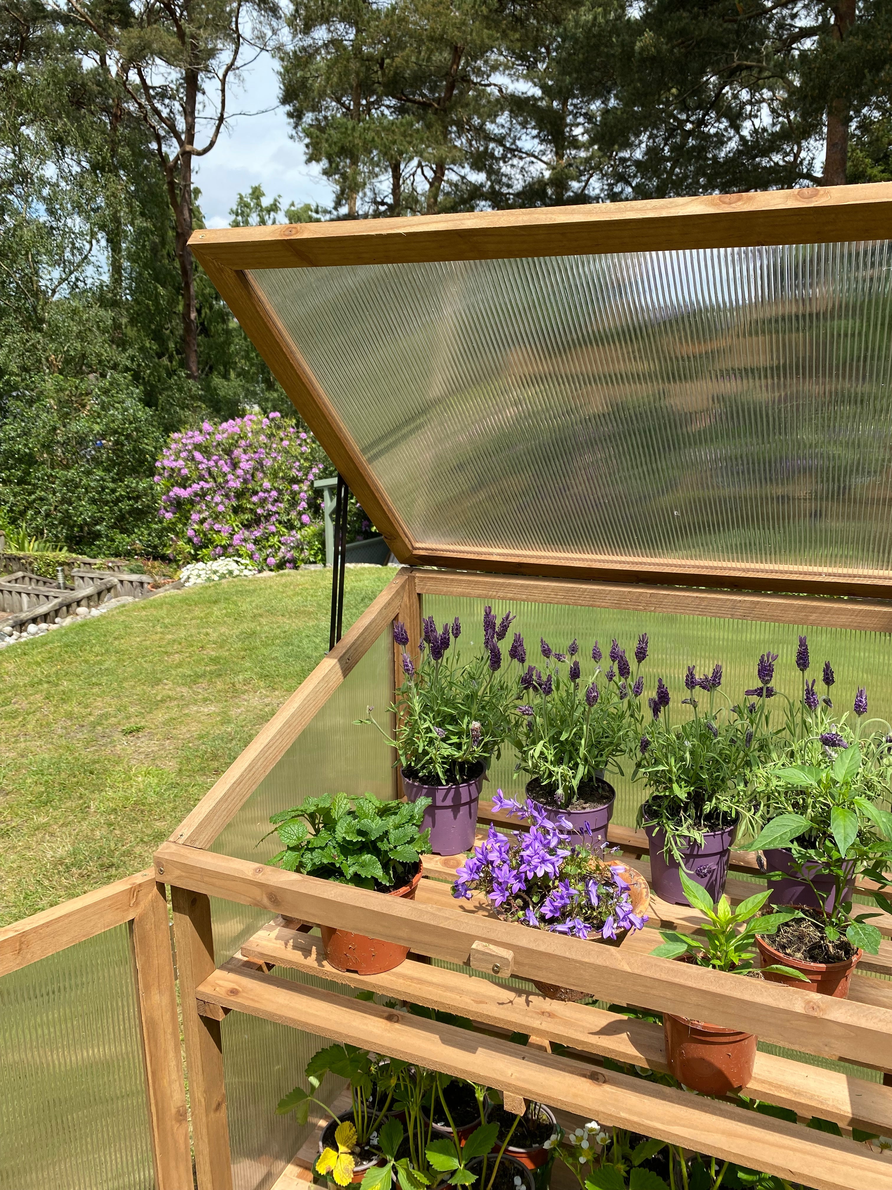 Replacement Lid Panel for Wooden Mini Growhouse