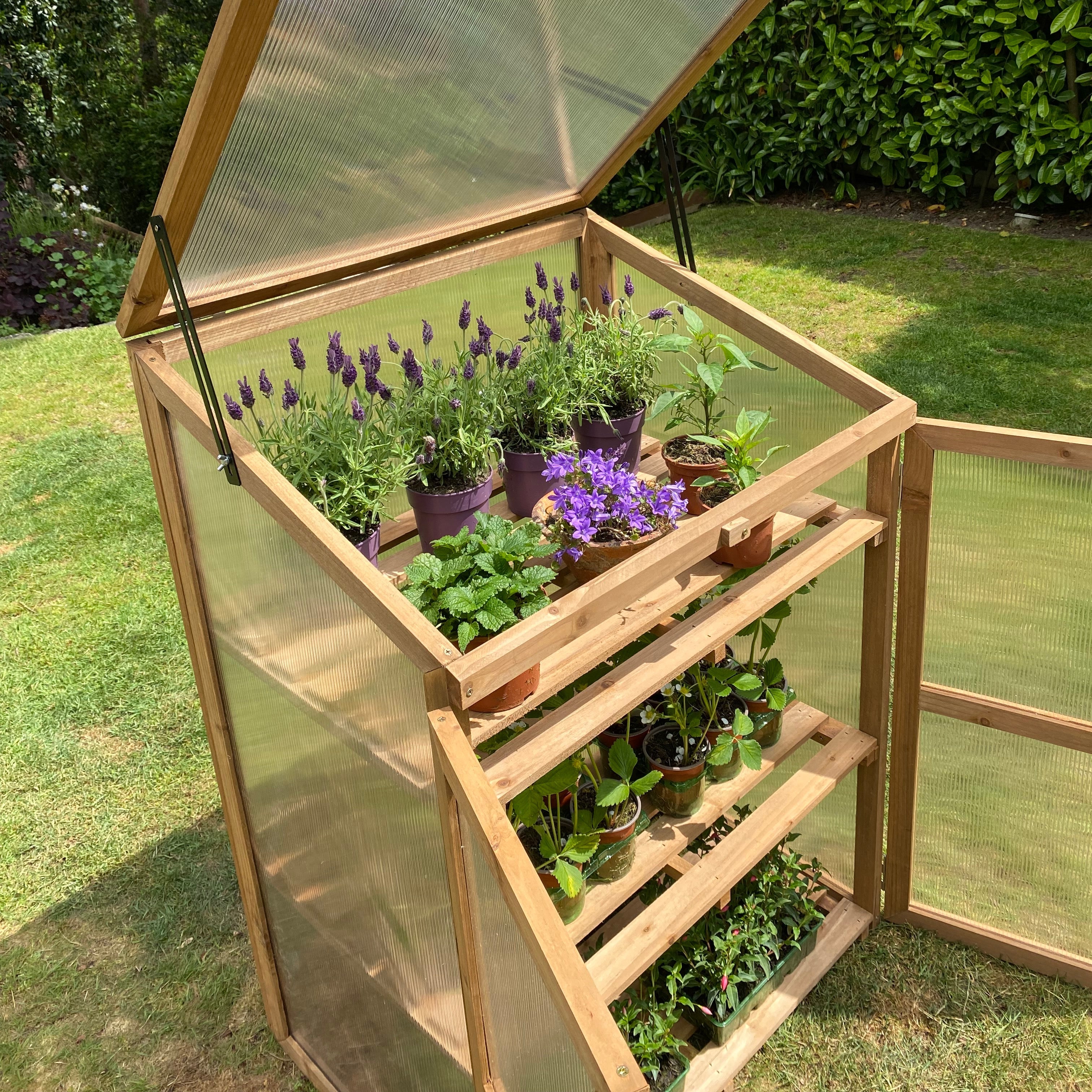 Replacement Back Panel for Wooden Mini Growhouse