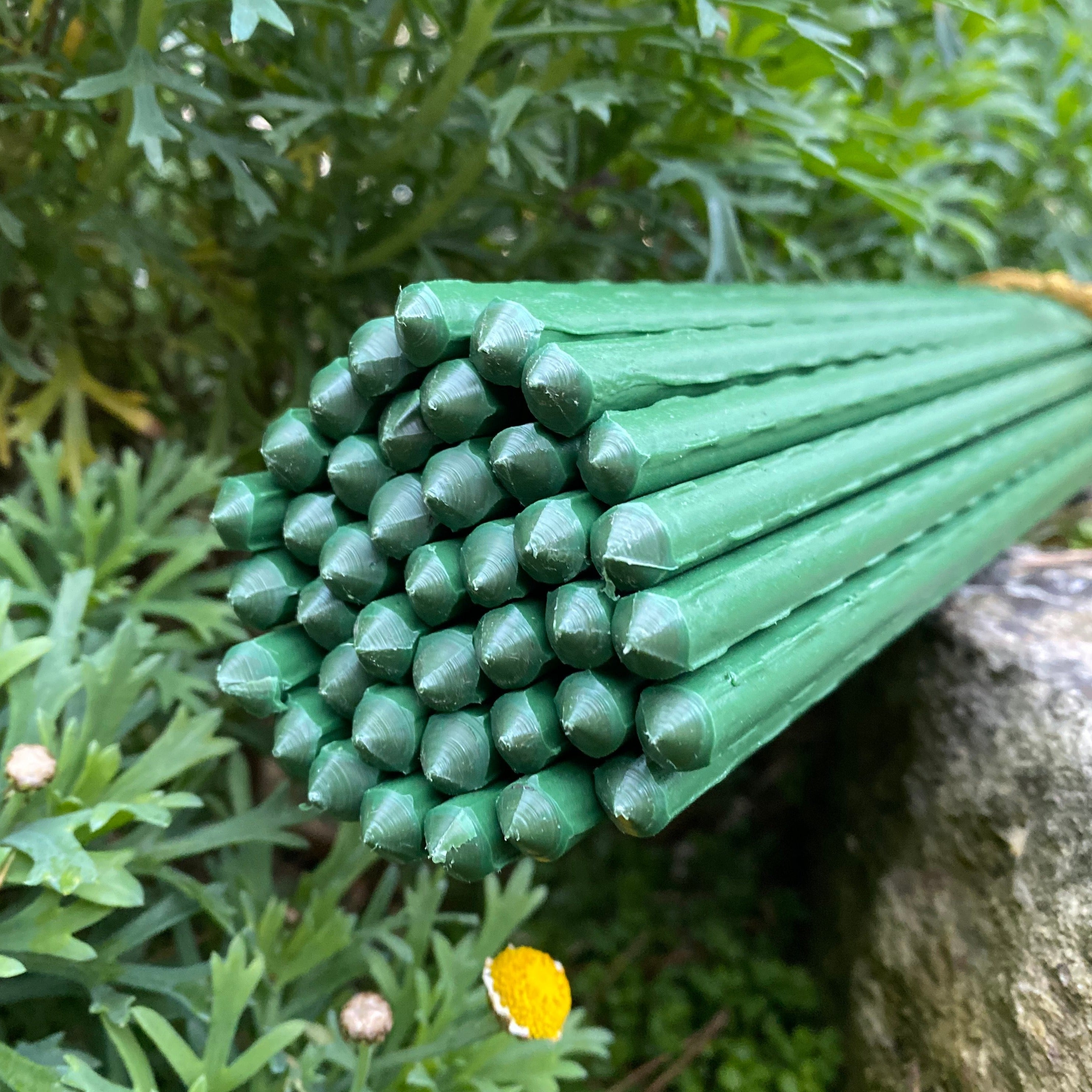 Plastic Coated Metal Garden Plant Support Sticks (80cm) - Pack of 40