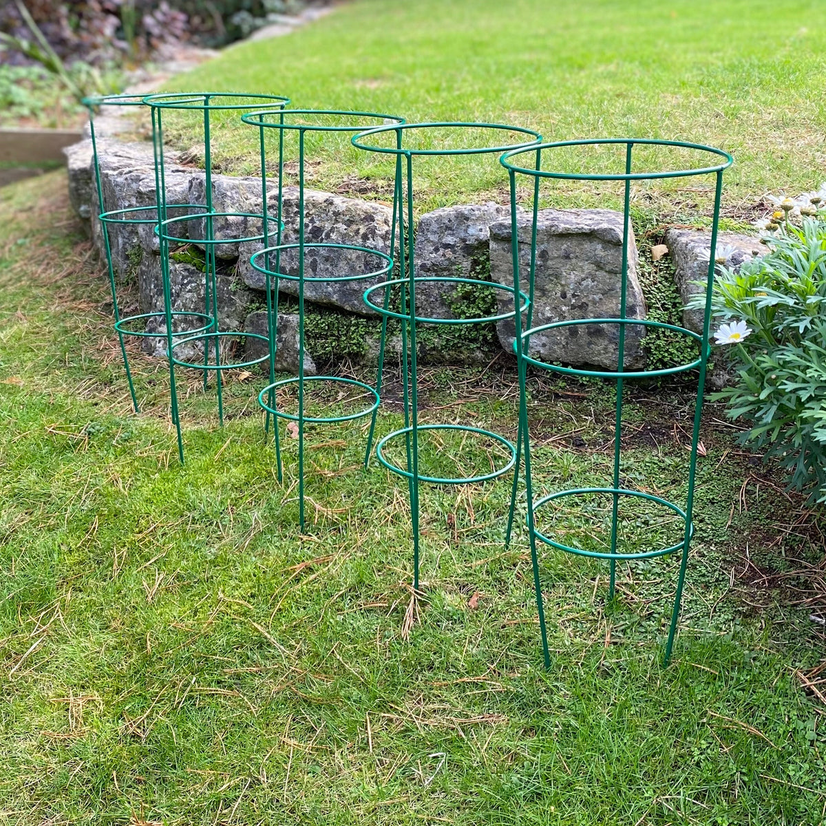Conical Metal Garden Herbaceous Plant Support Rings (48cm) - Pack of 5