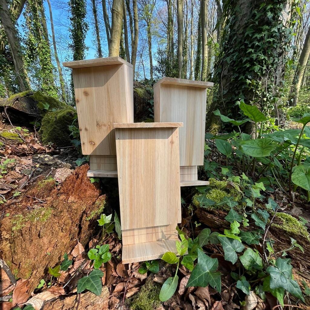Wooden Bat Box House Rooster Nest with Landing Perch (Set of 3)