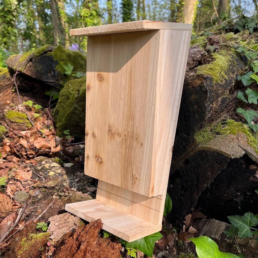 Wooden Bat Box House Rooster Nest with Landing Perch (Set of 3)