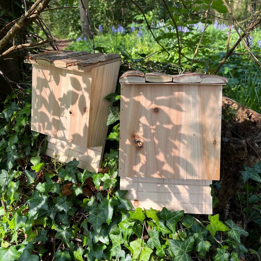 Large Wooden Bat Nesting Roosting Box (Set of 2)