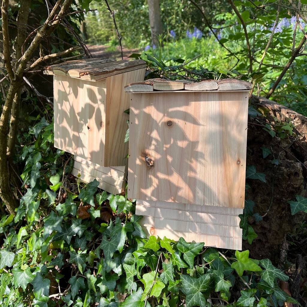 Large Wooden Bat Nesting Roosting Box (Set of 2)